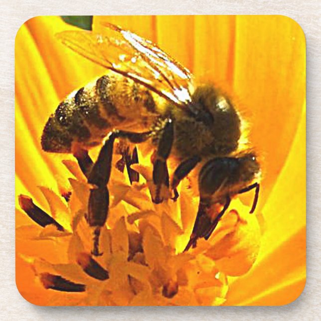 Biene auf einer Blume Getränkeuntersetzer (Vorderseite)