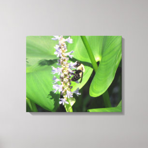 Biene auf einer Blume Leinwanddruck