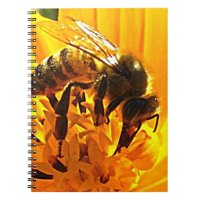 Biene auf einer Blume Notizblock (Vorderseite)