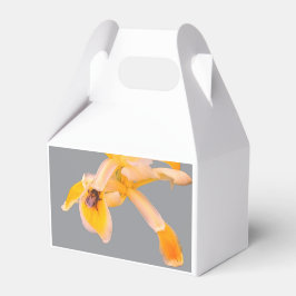 Biene auf einer gelben Blume Geschenkschachtel