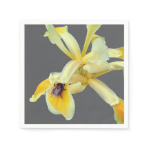 Biene auf einer gelben Blume