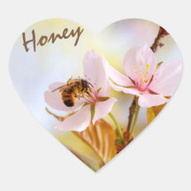 Biene auf einer Kirsche-Blume