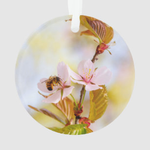 Biene auf einer Kirsche-Blume Ornament