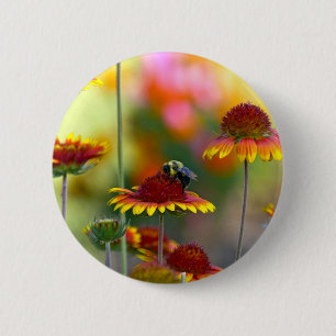 Biene auf Gaillardia Button