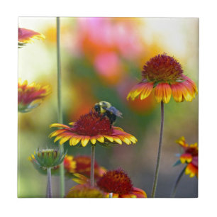 Biene auf Gaillardia Fliese