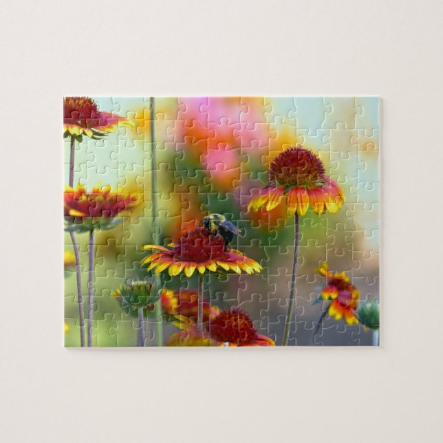 Biene auf Gaillardia Jigsaw Puzzle (Horizontal)