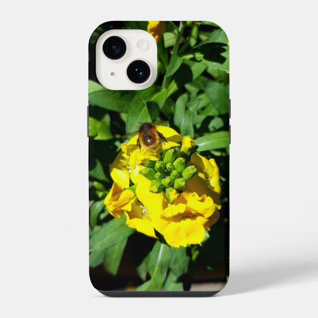 Biene auf gelben Blumen iPhone Hülle (Rückseite)