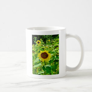 Biene auf gelber Sonnenblume Tasse