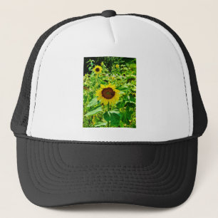 Biene auf gelber Sonnenblume Truckerkappe