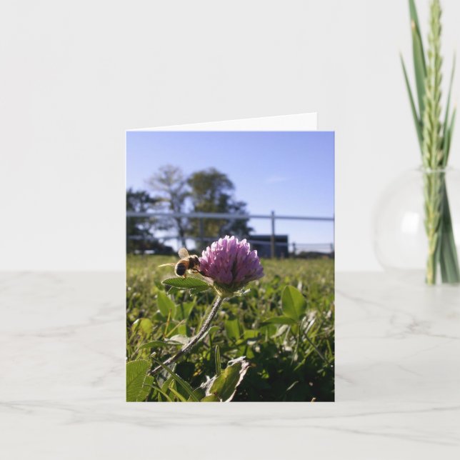 Biene auf Klee Notecard Karte (Vorderseite)