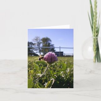 Biene auf Klee Notecard Karte