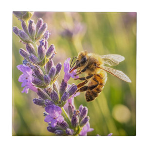 Biene auf Lavendel Fliese
