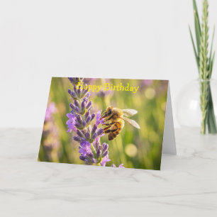 Biene auf Lavendel Karte