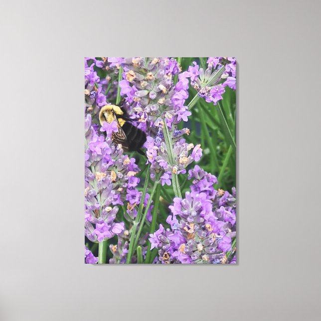 Biene auf Lavendelblüte Leinwanddruck (Vorderseite)