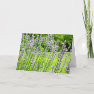 Biene auf Lavender Summer Floral Karte