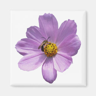 Biene auf lila Blume Magnet