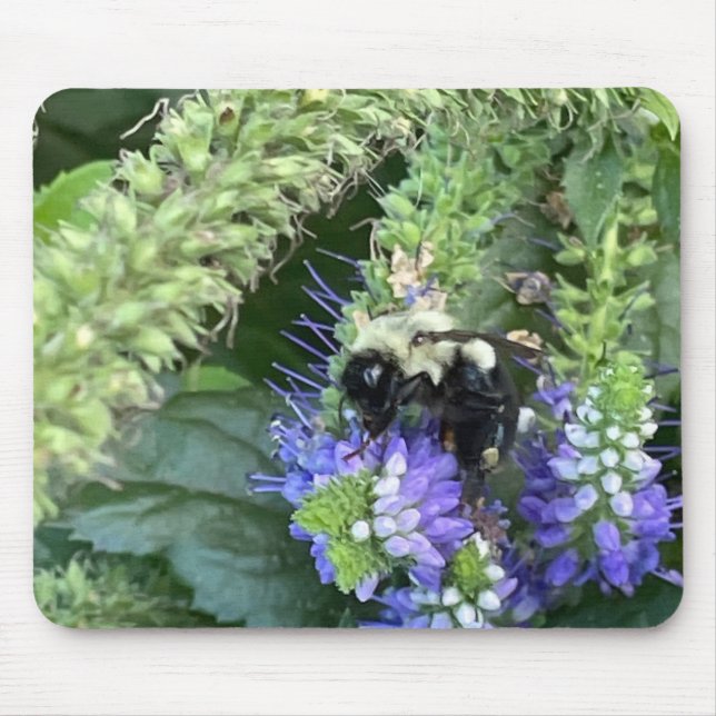 Biene auf Lila Blume Maus Pad Mousepad (Vorne)
