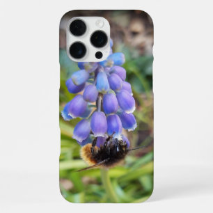 Biene auf Muscari Armeniacum, TraubenHyakinth iPhone 16 Pro Max Hülle