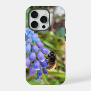 Biene auf Muscari Armeniacum, TraubenHyakinth iPhone 15 Pro Hülle
