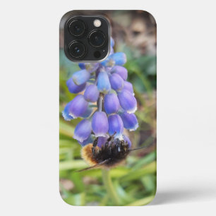 Biene auf Muscari Armeniacum, TraubenHyakinth iPhone 13 Pro Max Hülle