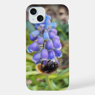 Biene auf Muscari Armeniacum, Traubenhyazinthe iPhone 15 Plus Hülle