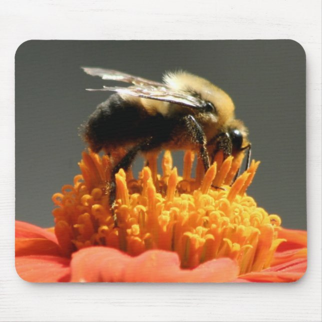 Biene auf orange Blume Mousepad (Vorne)