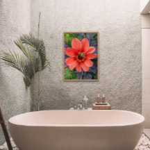 Biene auf Orange Dahlia Bloom Floral