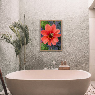 Biene auf Orange Dahlia Bloom Floral Fotodruck