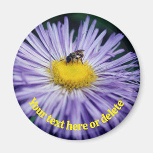 Biene auf personalisierter lila Gänseblümchen-Blum Magnet