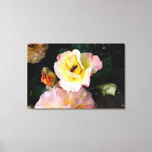 Biene auf rosa Gelben Rosen Blume Leinwanddruck