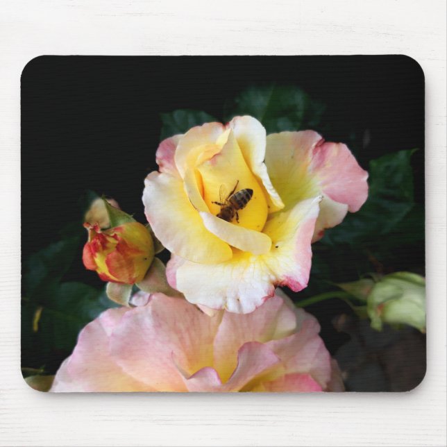 Biene auf rosa Gelben Rosen Blume Mousepad (Vorne)