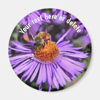 Biene auf violetter Aster-Blume Natur Personalisie