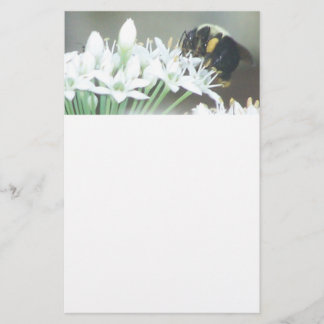 Biene auf weißen Blüten Briefpapier