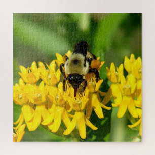 Biene beim Gelage auf Schmetterlingskraut-Wildblum Puzzle