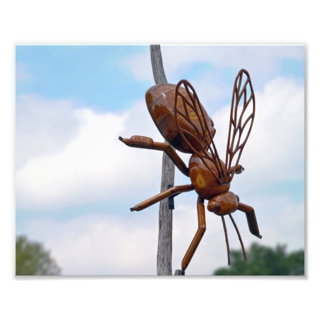 Biene Fotodruck (Vorne)