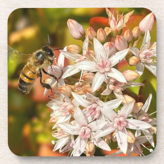 Biene Getränkeuntersetzer (Vorderseite)