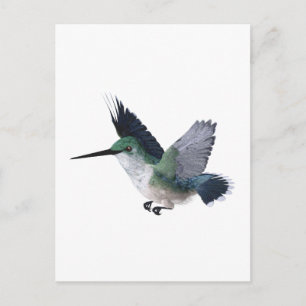 Biene Hummingbird Female Postkarte