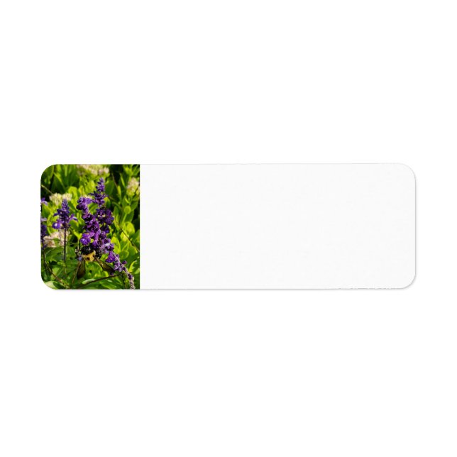 Biene im Garten (Vorne)