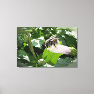 Biene im Sommer Leinwanddruck