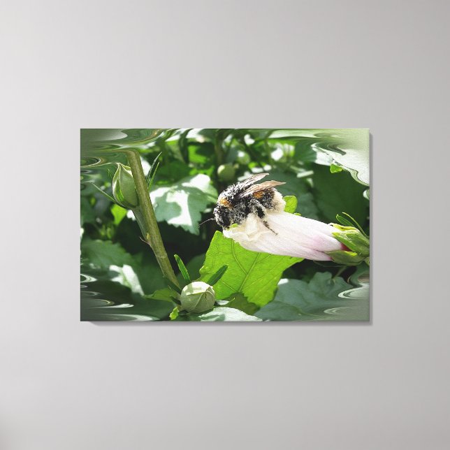 Biene im Sommer Leinwanddruck (Vorderseite)