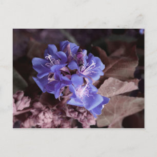 Biene in blauen Blumen eingefärbt lila Postkarte