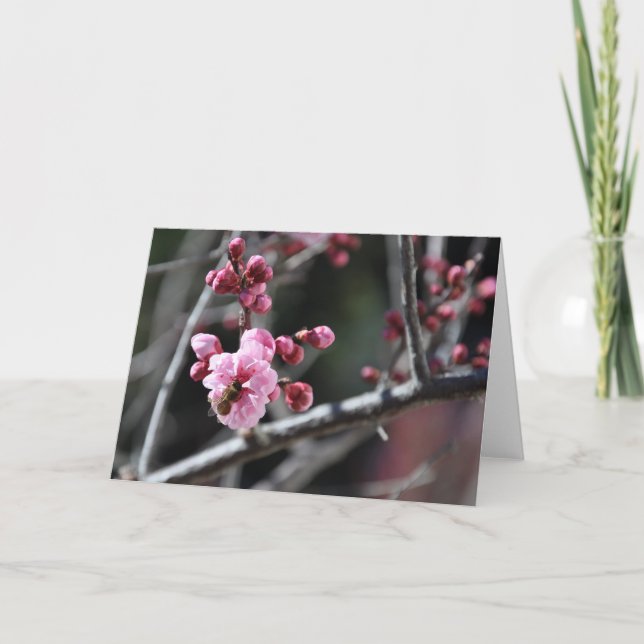 Biene in der Blume - Gruß-Karte Karte (Vorderseite)