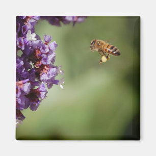 Biene in Flight Magnet
