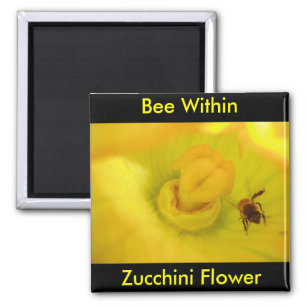 Biene innerhalb der Zucchini-Blume Magnet