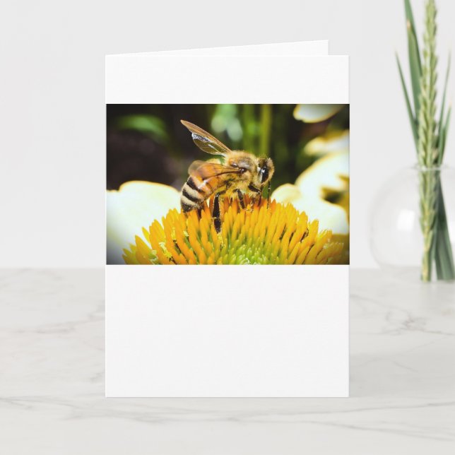 Biene, Karte (Vorderseite)