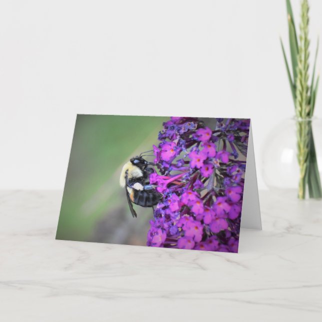 Biene, Karte (Vorderseite)