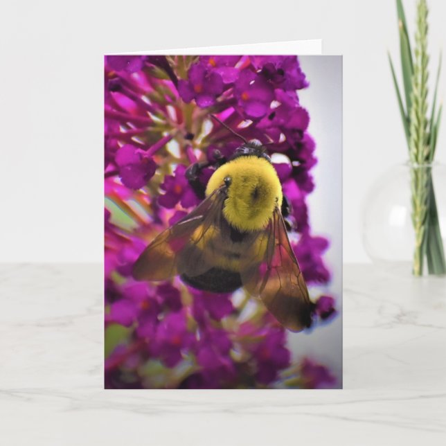 Biene, Karte (Vorderseite)
