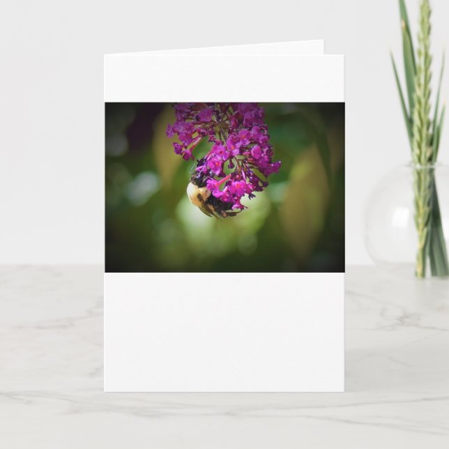 Biene, Karte (Vorderseite)