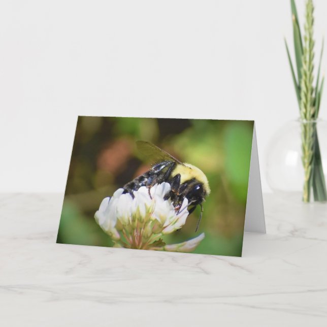 Biene, Karte (Vorderseite)