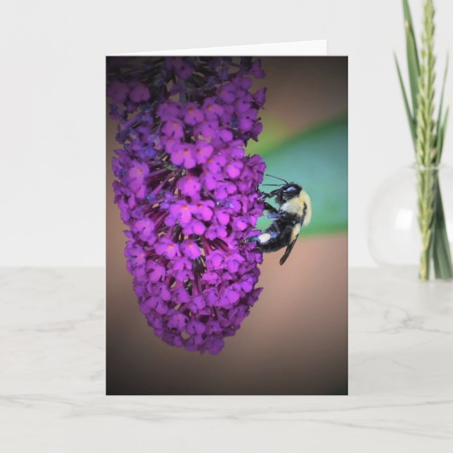 Biene, Karte (Vorderseite)